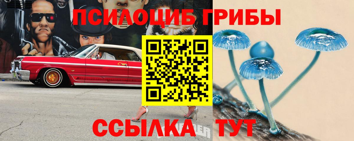 Псилоцибиновые грибы MAGIC MUSHROOMS Салехард